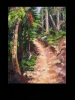 The Trail Series - Ponderosa Pine